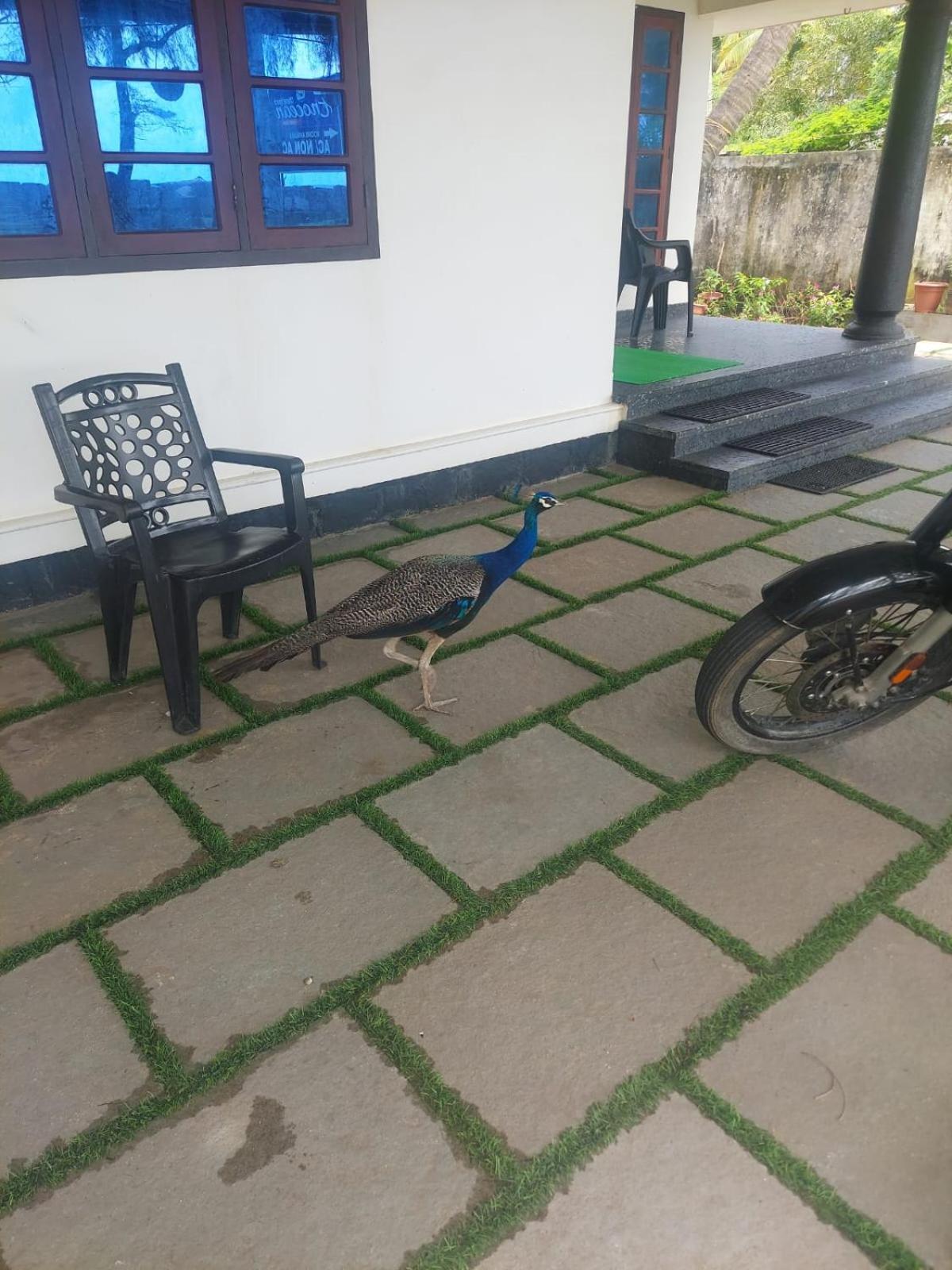 Enocean Homestay 체라이 비치 외부 사진